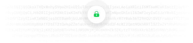 security_safe_domain(1)